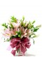 Pink lily